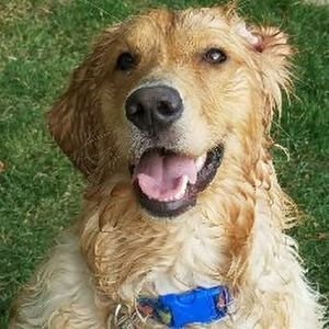 Meet your Posher, Daryl